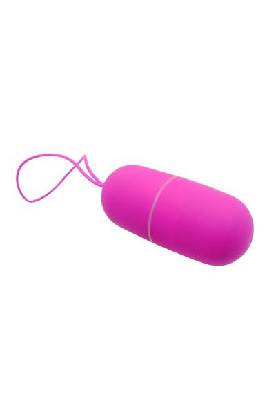 Pretty Love Arvin — Œuf vibrant avec télécommande