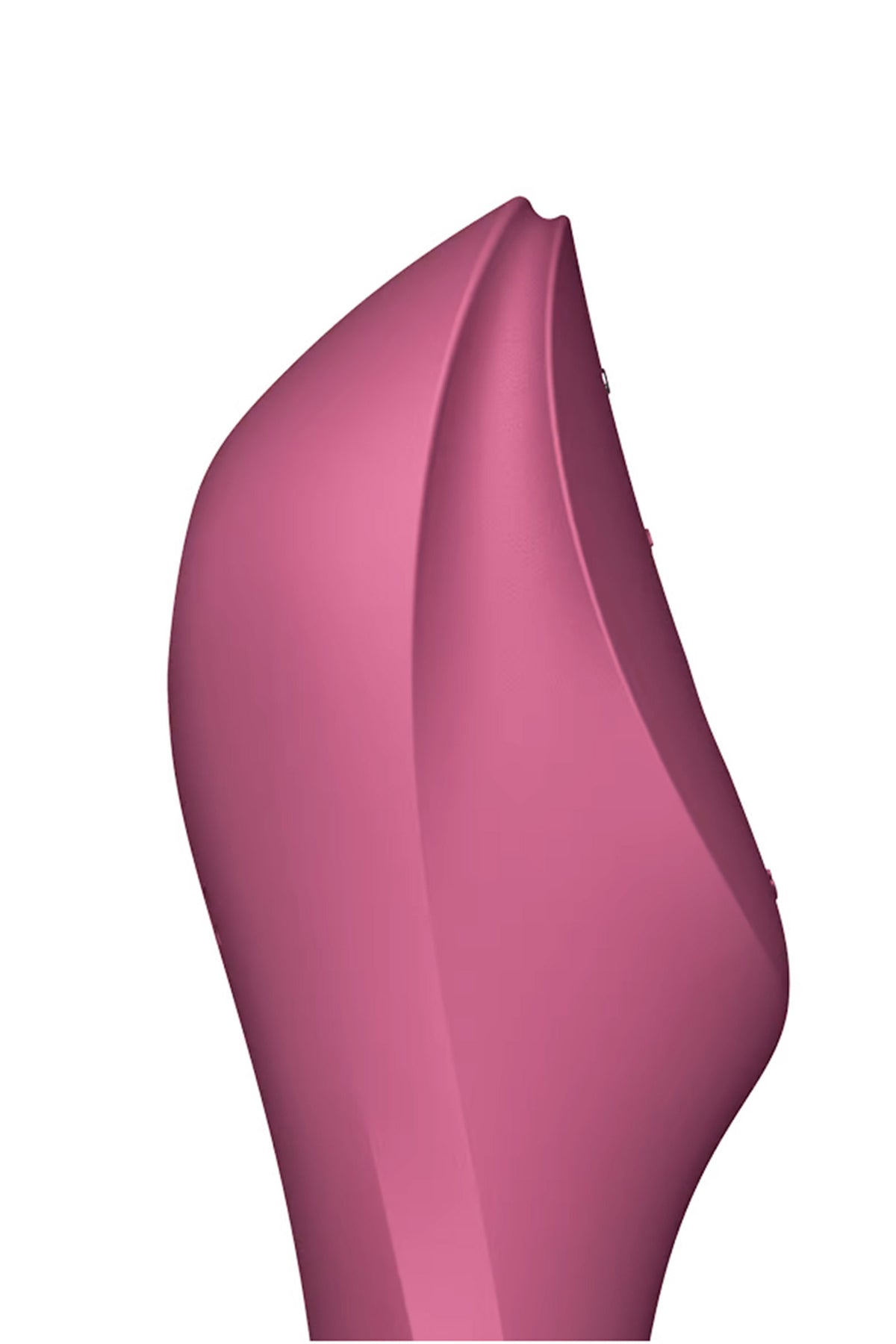 Satisfyer Curvy Trinity 3 — Stimulateur clitoridien air pulsé et vibromasseur